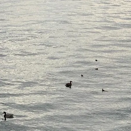 A Casa Di Chiara 2 * Stresa