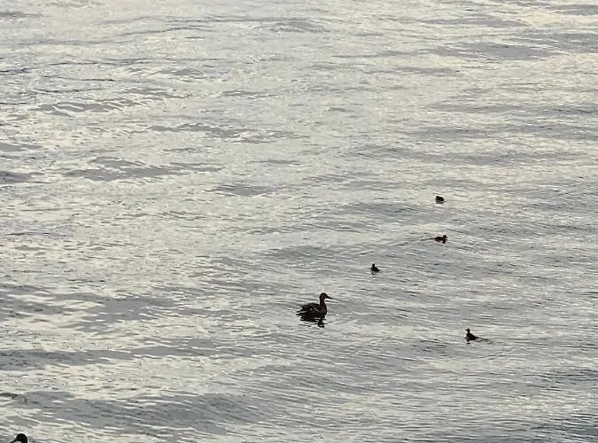 A Casa Di Chiara 2 * Stresa