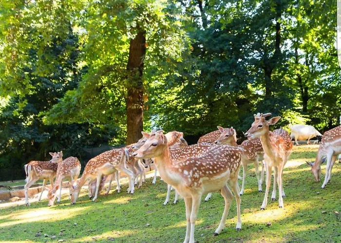 A Casa Di Chiara 2 *